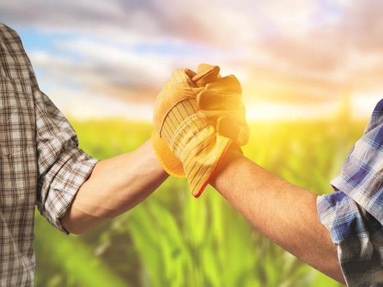 Jak skutecznie pozyskać fundusze unijne dla rolników z Równiny Zachodniolubuskiej?